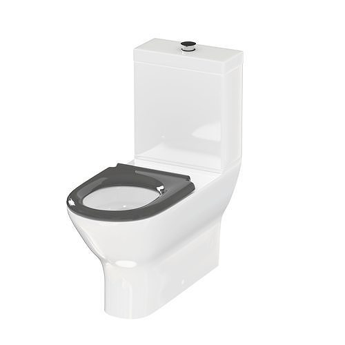 DELTA CARE 800 Back-to-Wall toilet suite 3D model