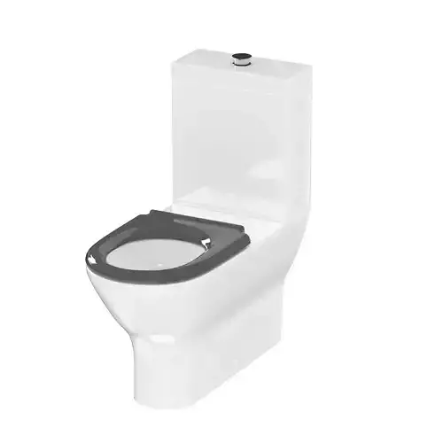 DELTA CARE 800 Back-to-Wall toilet suite 3D model