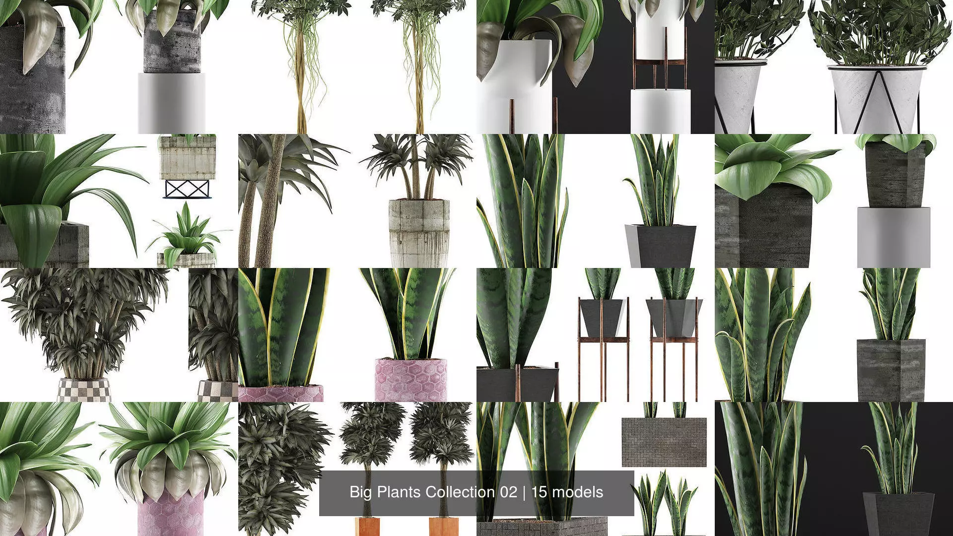 Big Plants Collection 02 _0