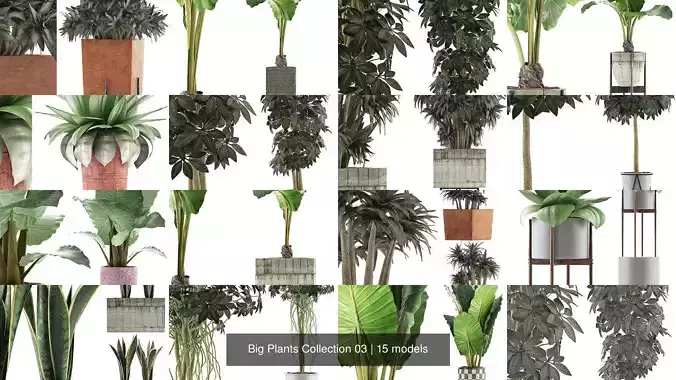 Big Plants Collection 03 