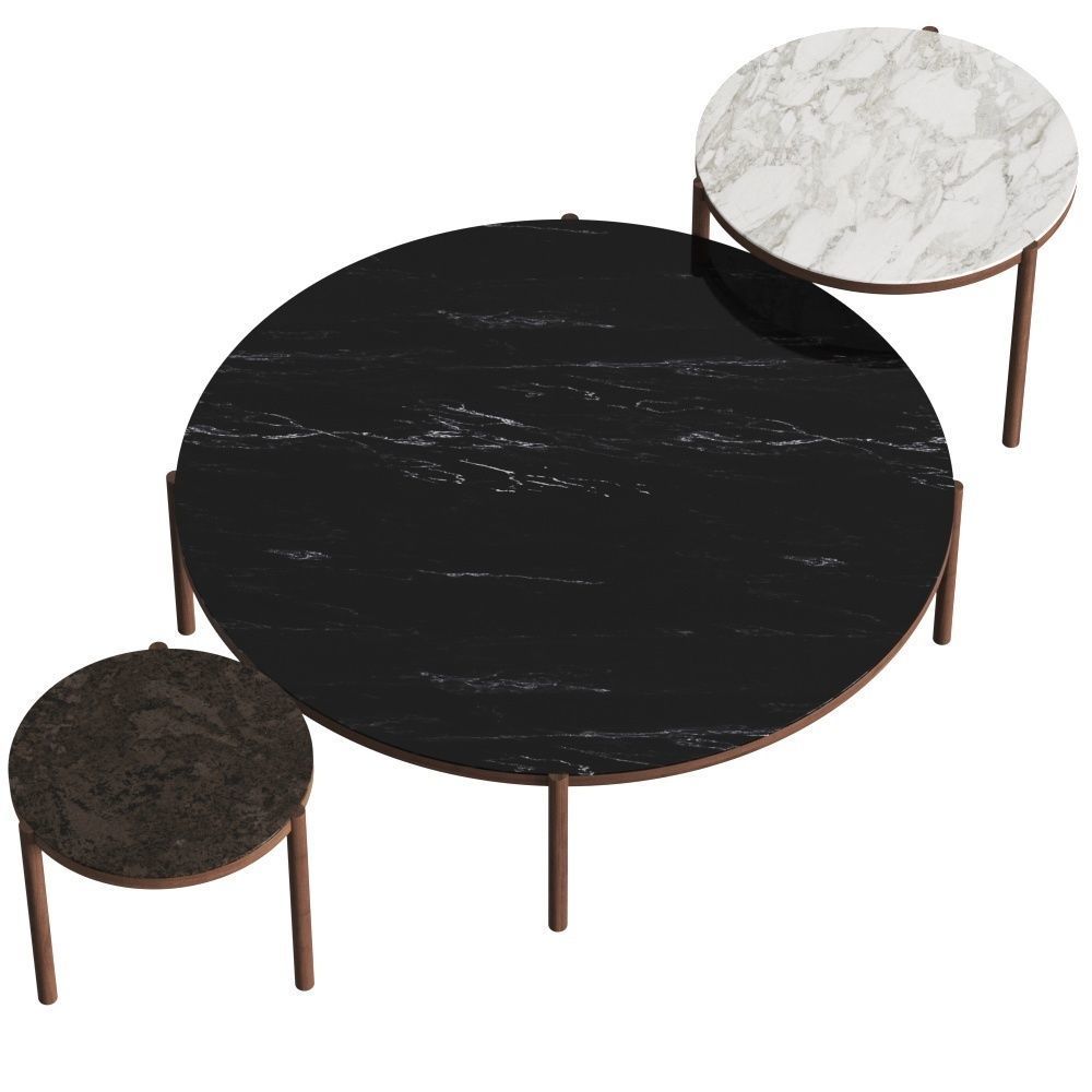 Flexform Gustav Coffee Tables 3D model_1