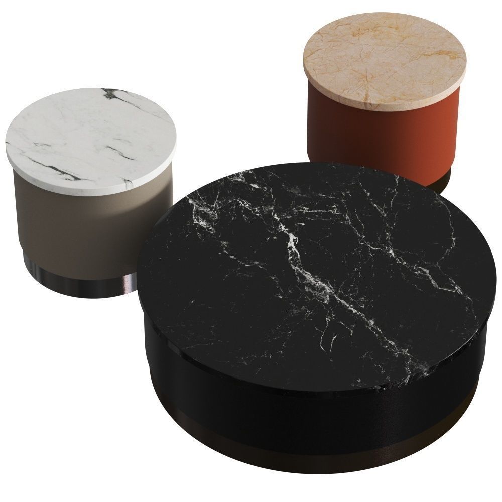 Tacchini Pastilles Coffee Tables 3D model_1
