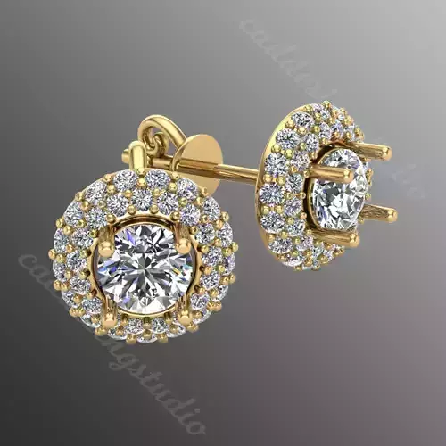 Earrings bi 15 3D print model