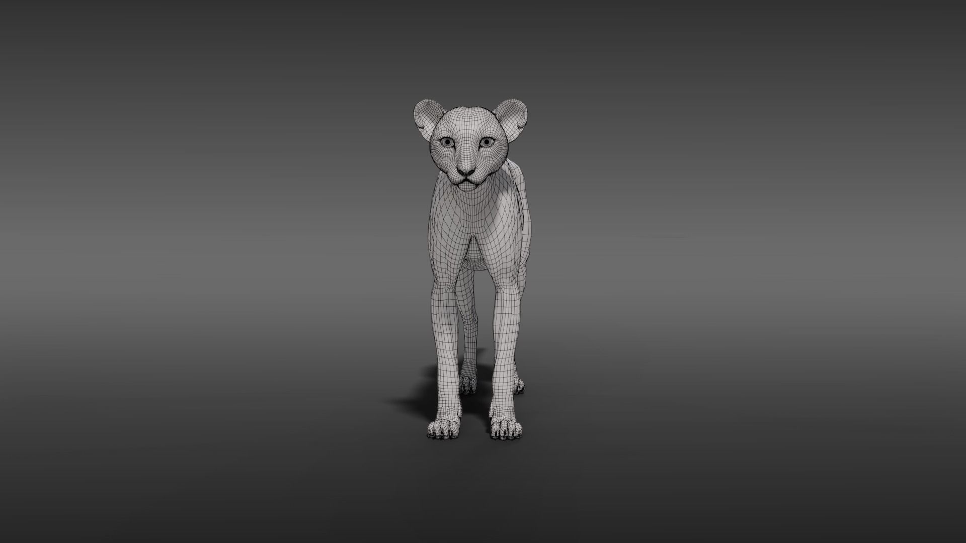 Young Cheetah Fur 3D model_10