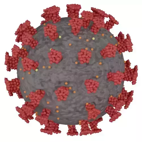 Coronavirus 3d model Free 3D model