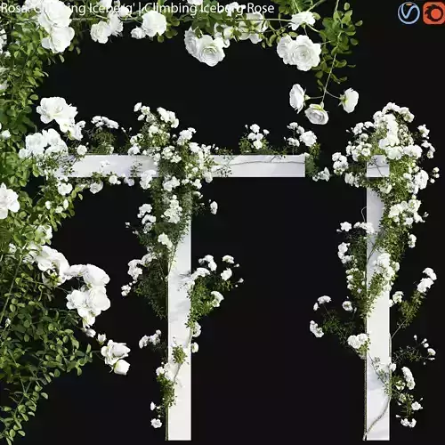 Climbing Iceberg Rose 02 3D model