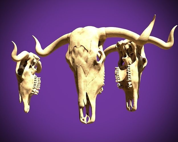 Bull skull  3D print model