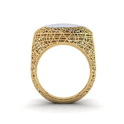 fizyon ring 40 3D print model