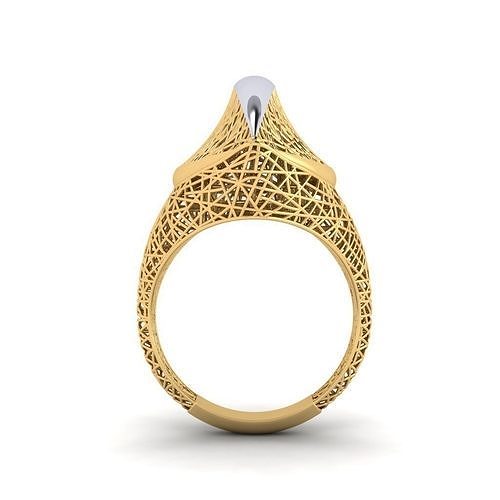fizyon ring 43 3D print model