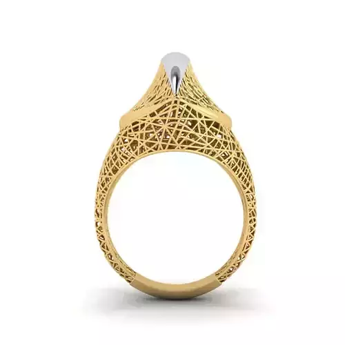 fizyon ring 43