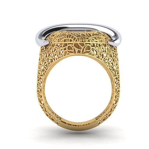 fizyon ring 45 3D print model