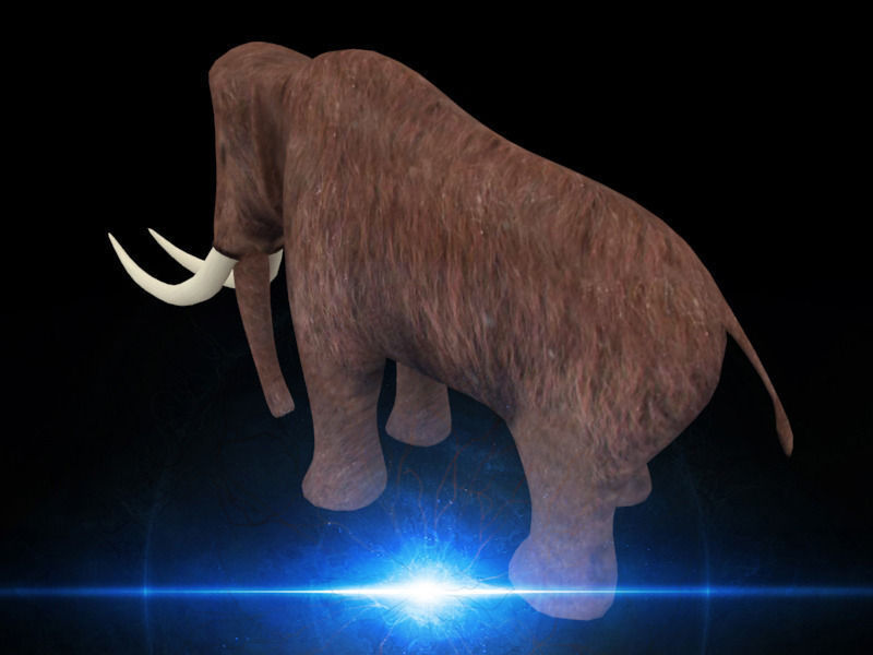 Mammoth elephant Low-poly 3D model_6