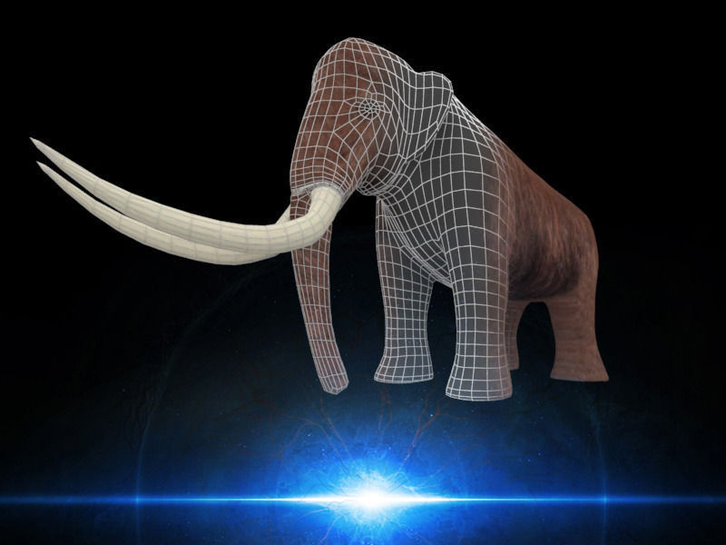 Mammoth elephant Low-poly 3D model_2