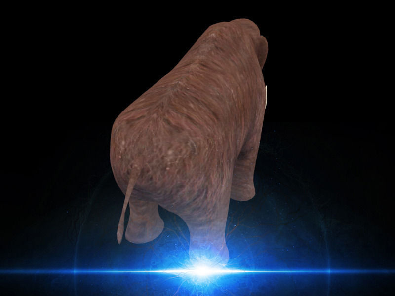 Mammoth elephant Low-poly 3D model_1