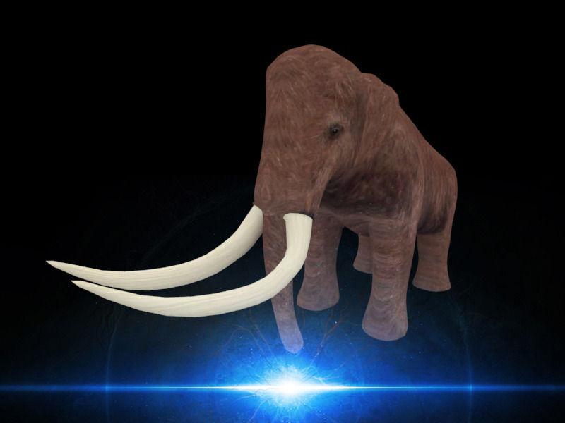 Mammoth elephant Low-poly 3D model_4