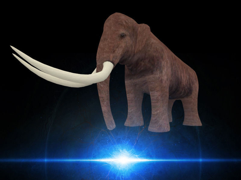 Mammoth elephant Low-poly 3D model_7