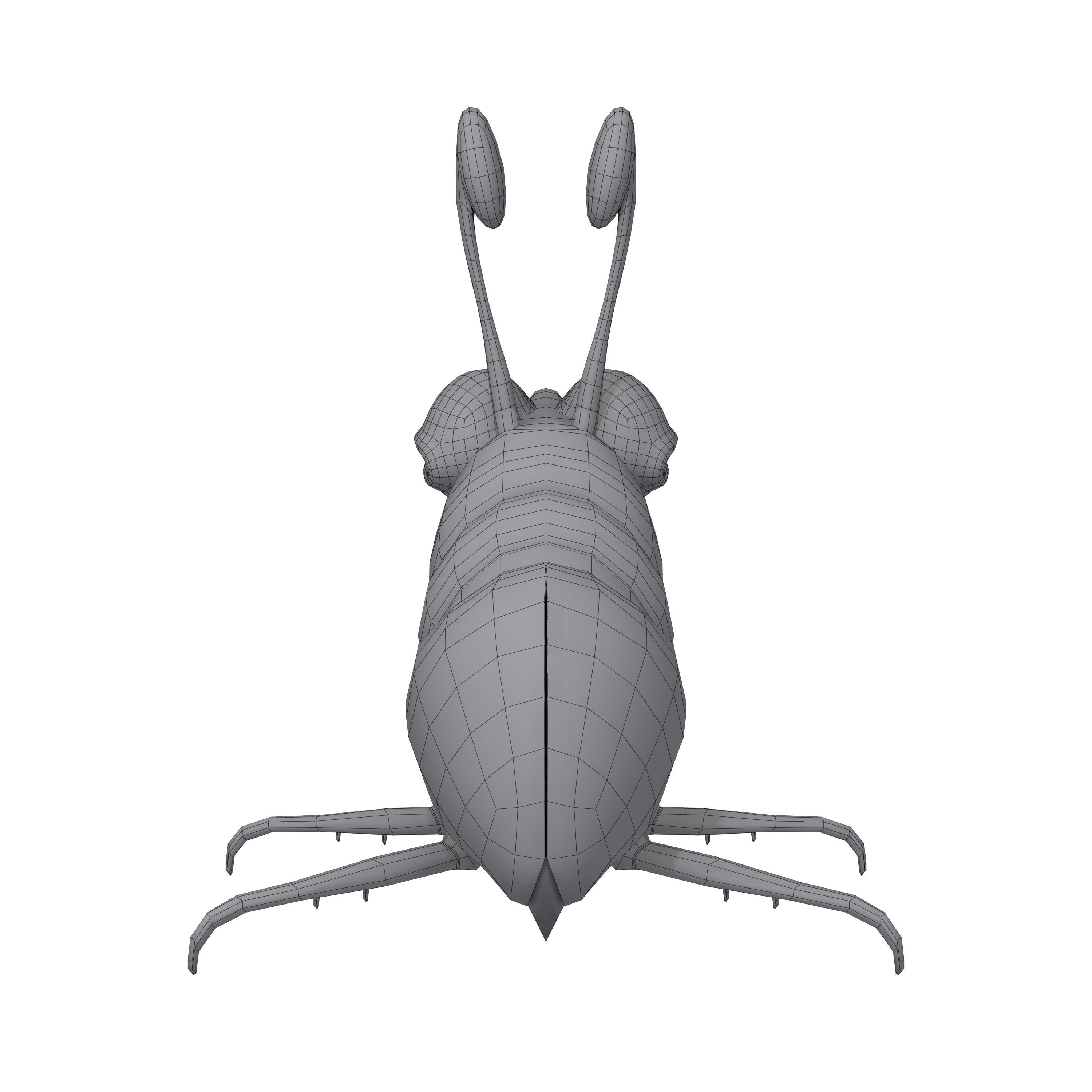 Bug Cartoon 3D model_7