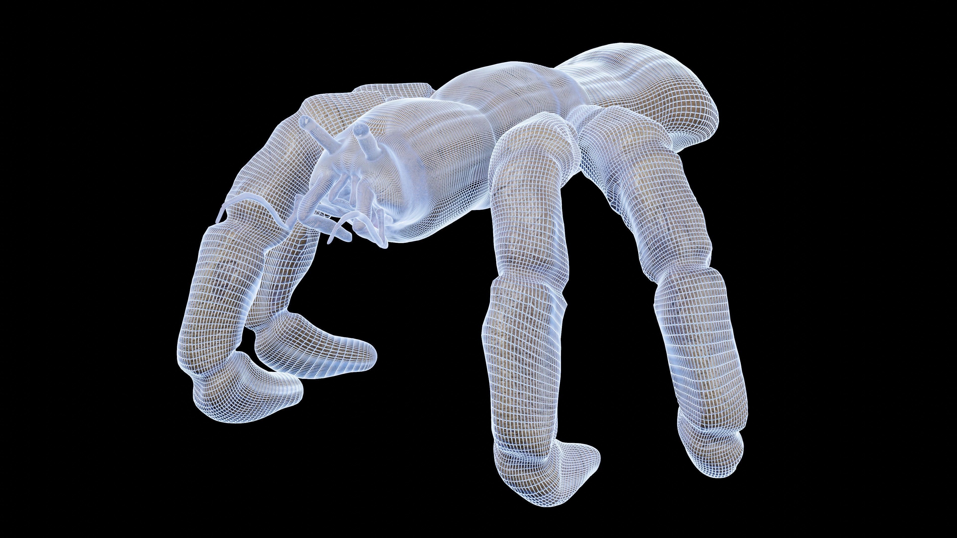 Hermit Crab Monster 3D model_1