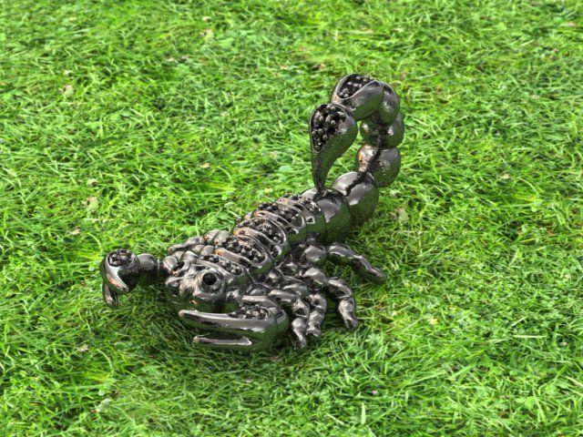 scorpion jewel pendant 3d  3D model_2