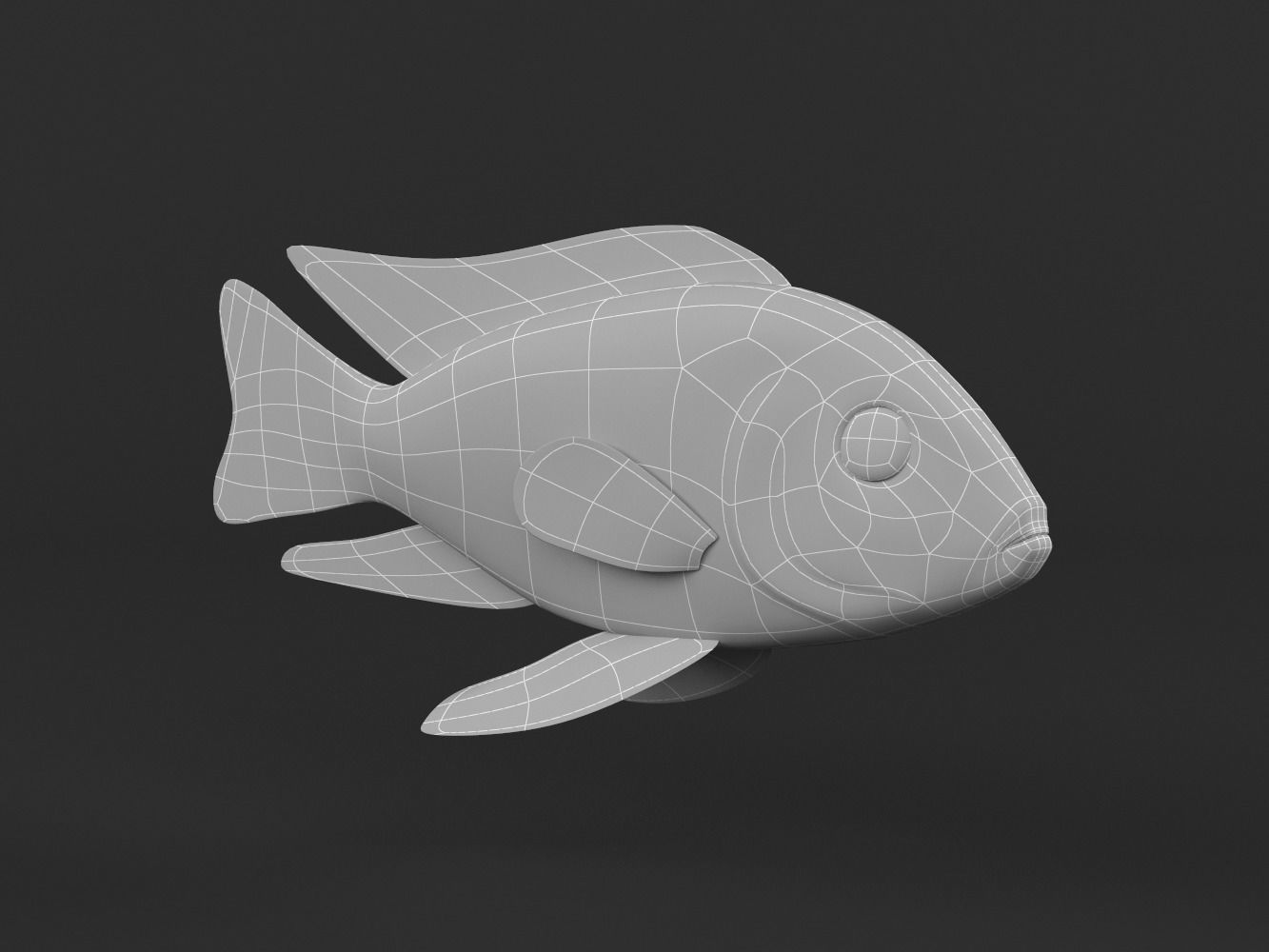 Cichlid Fish 3D model_6