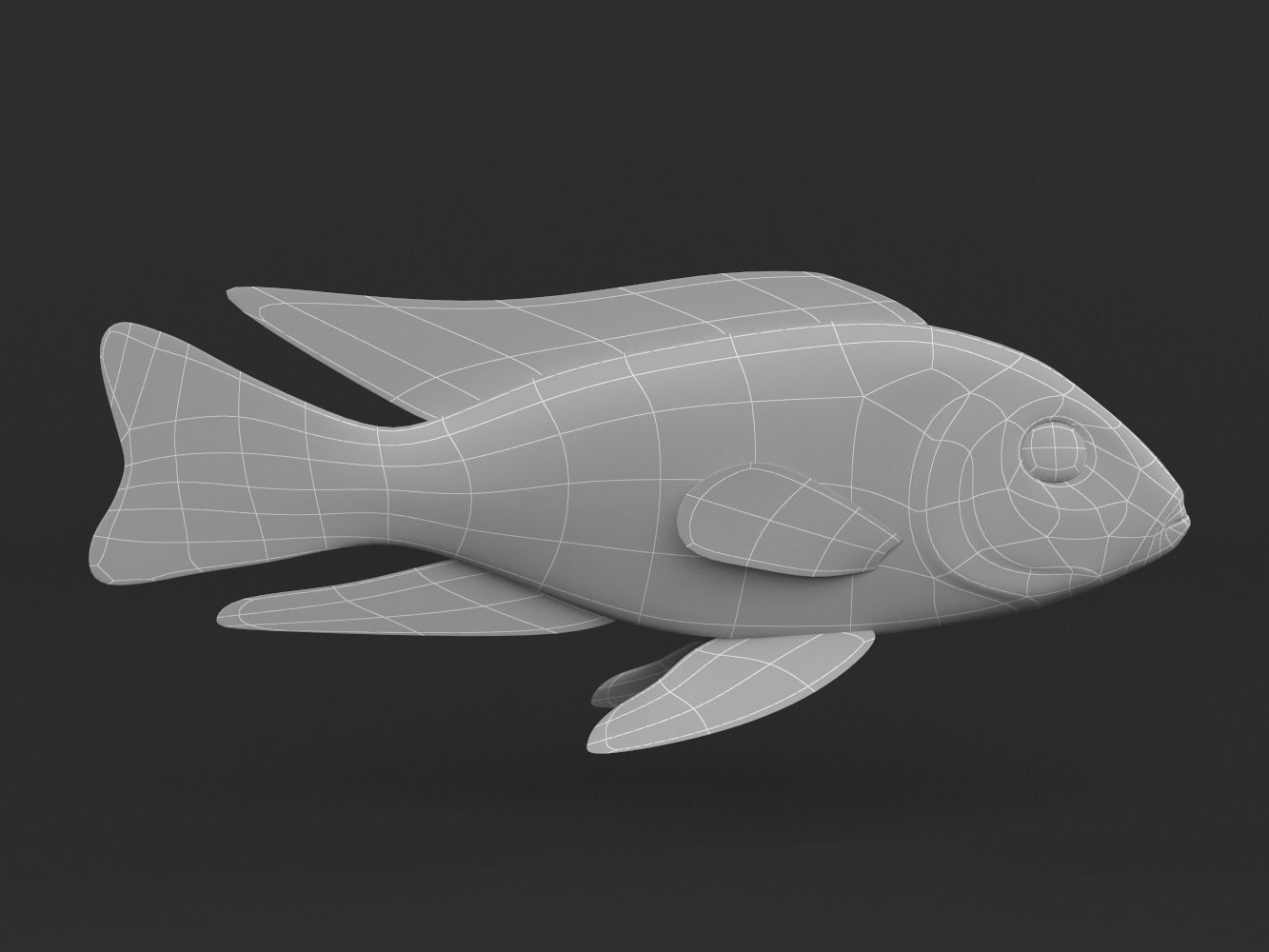 Cichlid Fish 3D model_5
