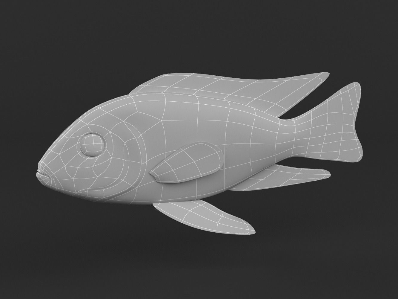 Cichlid Fish 3D model_7