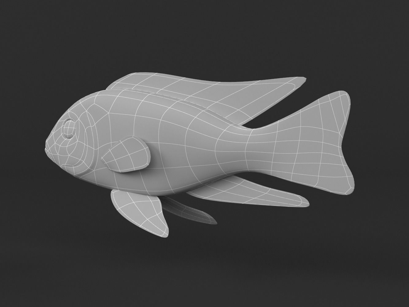 Cichlid Fish 3D model_8