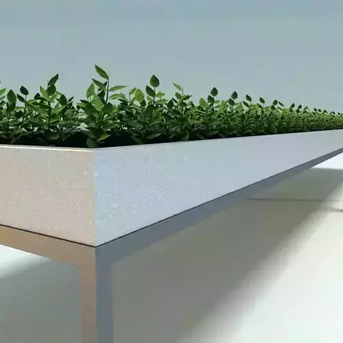 Seedlings Table