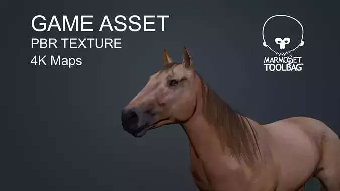 Game Asset PBR Texture Horse 