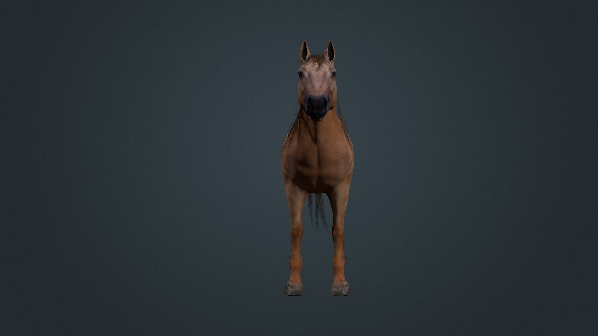 Game Asset PBR Texture 2 version horse Low-poly 3D model_24