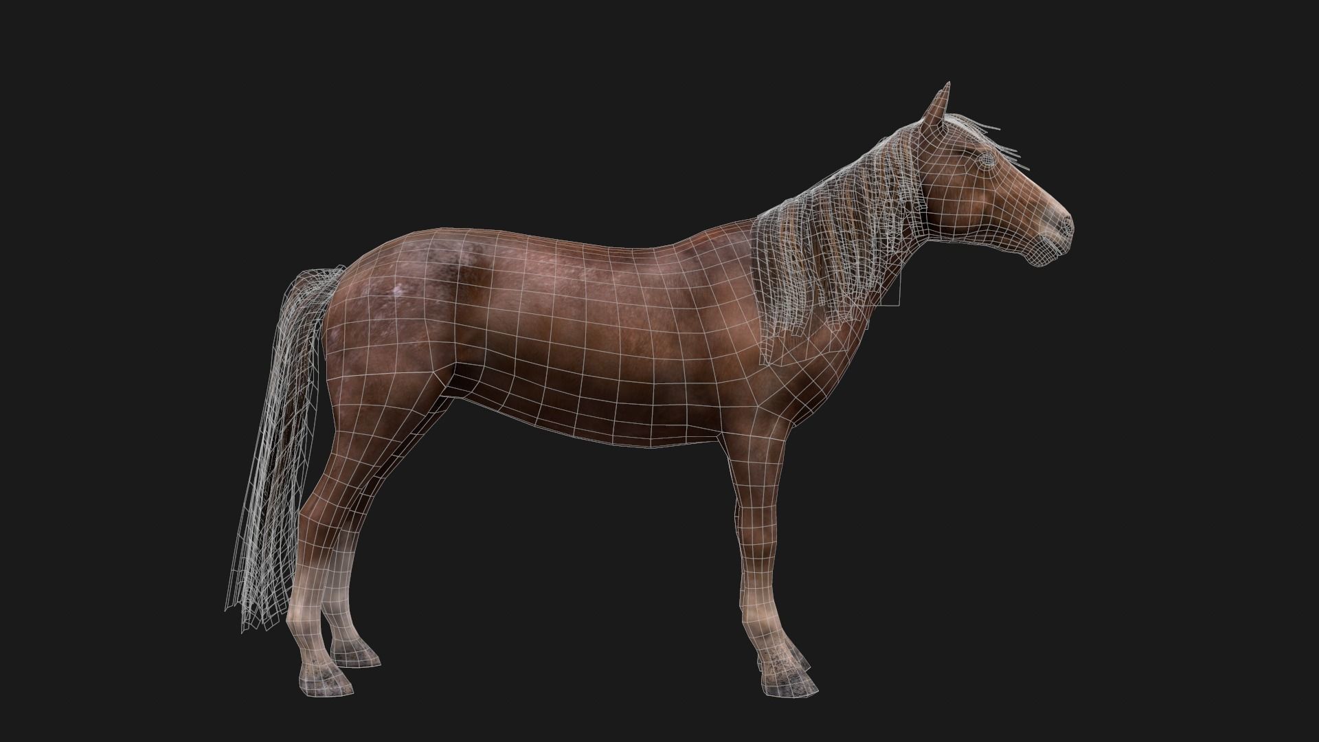 Game Asset PBR Texture 2 version horse Low-poly 3D model_12
