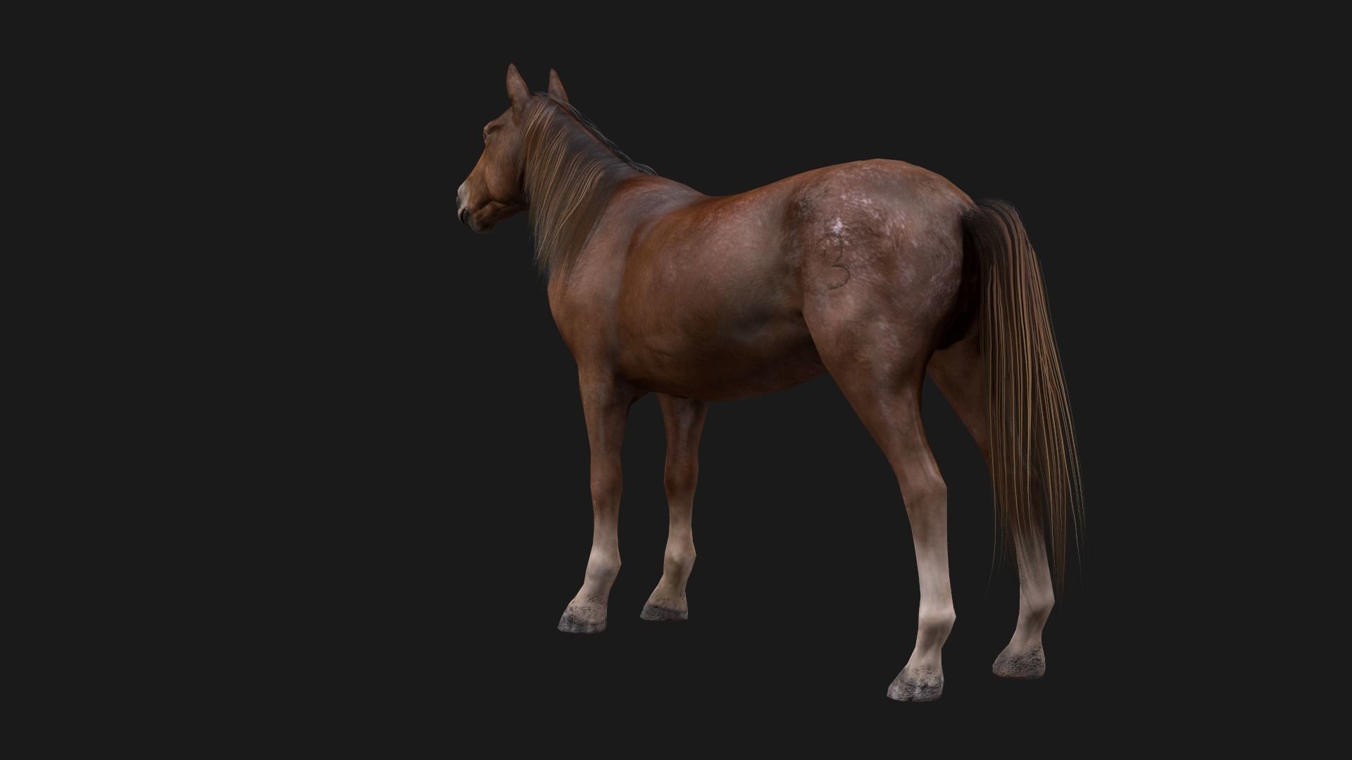 Game Asset PBR Texture 2 version horse Low-poly 3D model_16