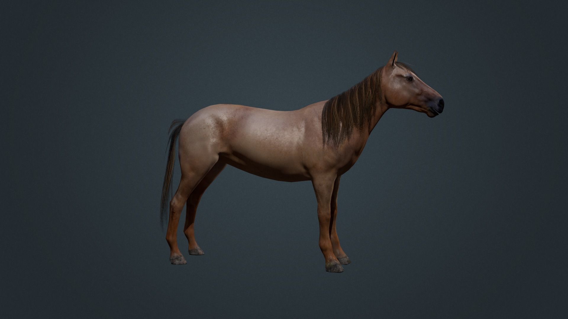 Game Asset PBR Texture 2 version horse Low-poly 3D model_25