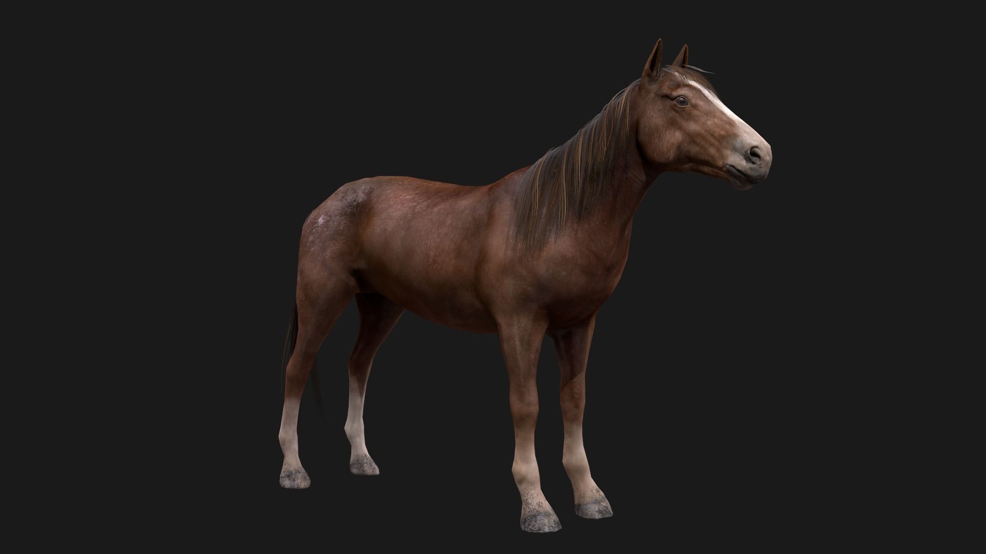 Game Asset PBR Texture 2 version horse Low-poly 3D model_10