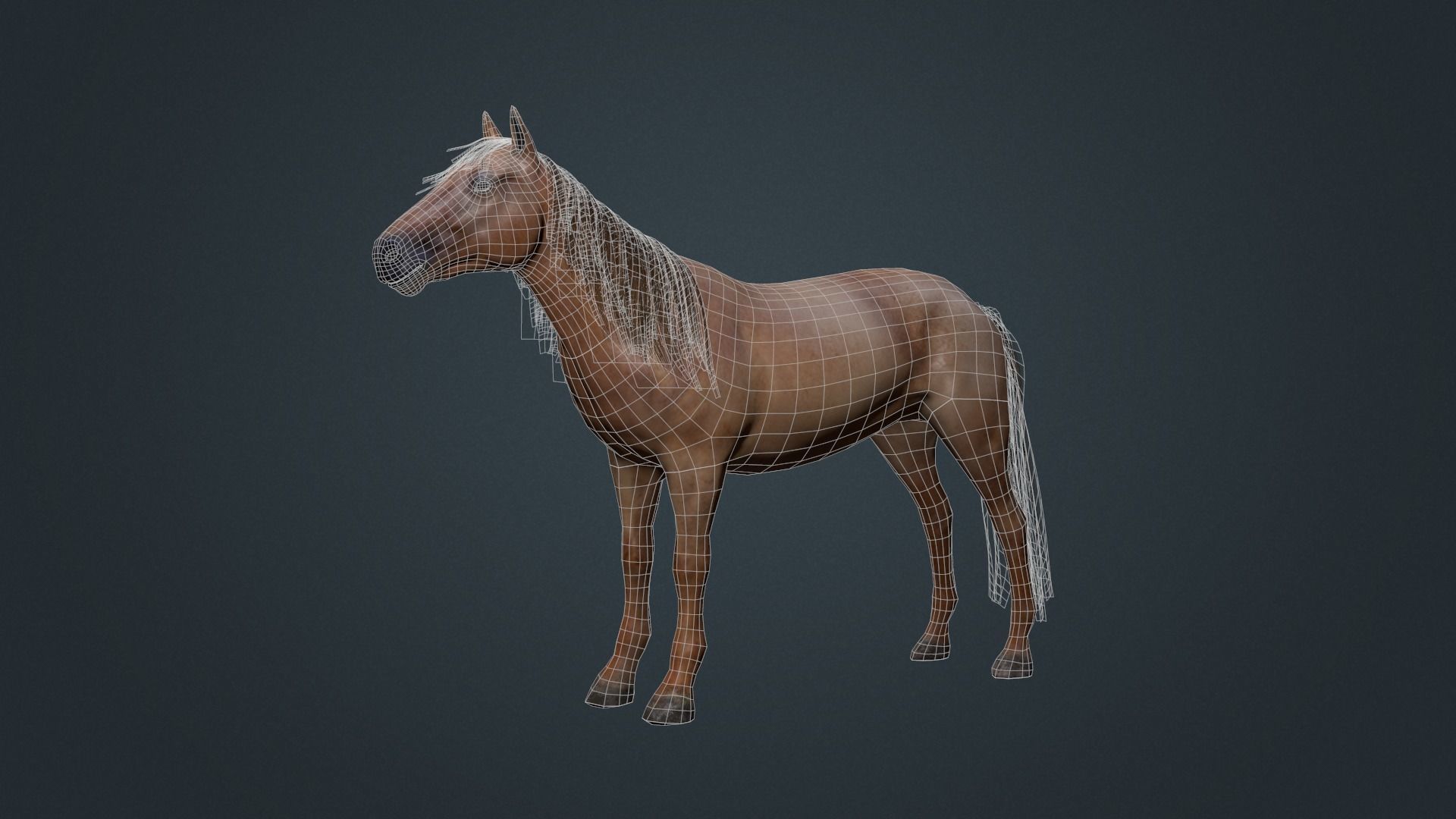 Game Asset PBR Texture 2 version horse Low-poly 3D model_22