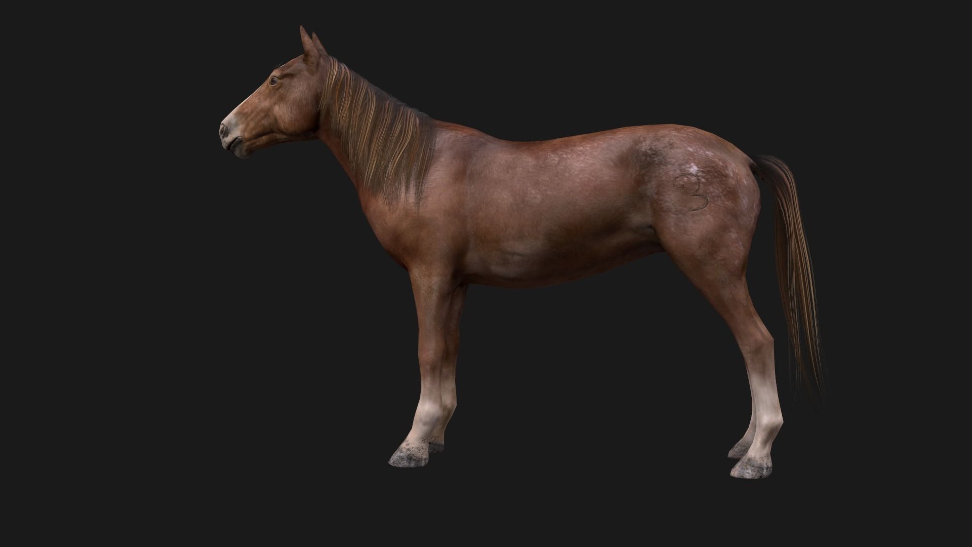Game Asset PBR Texture 2 version horse Low-poly 3D model_6