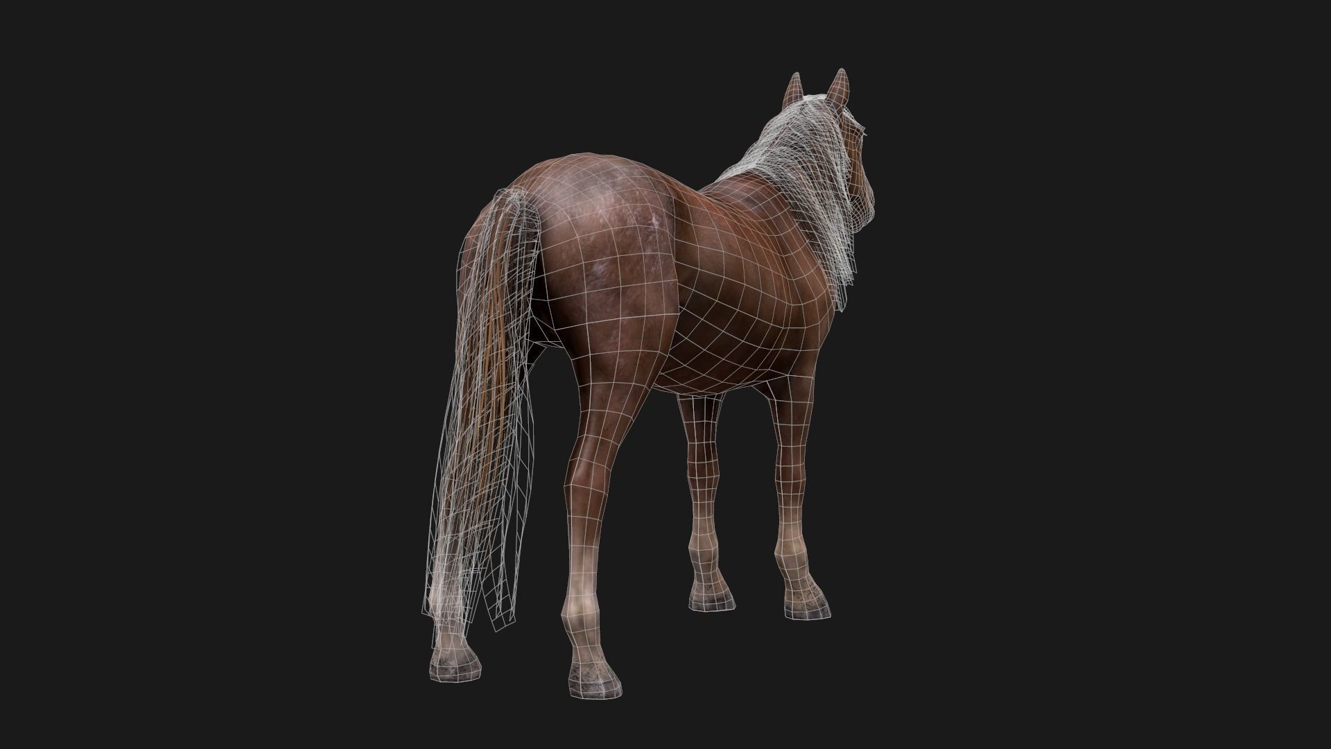 Game Asset PBR Texture 2 version horse Low-poly 3D model_14
