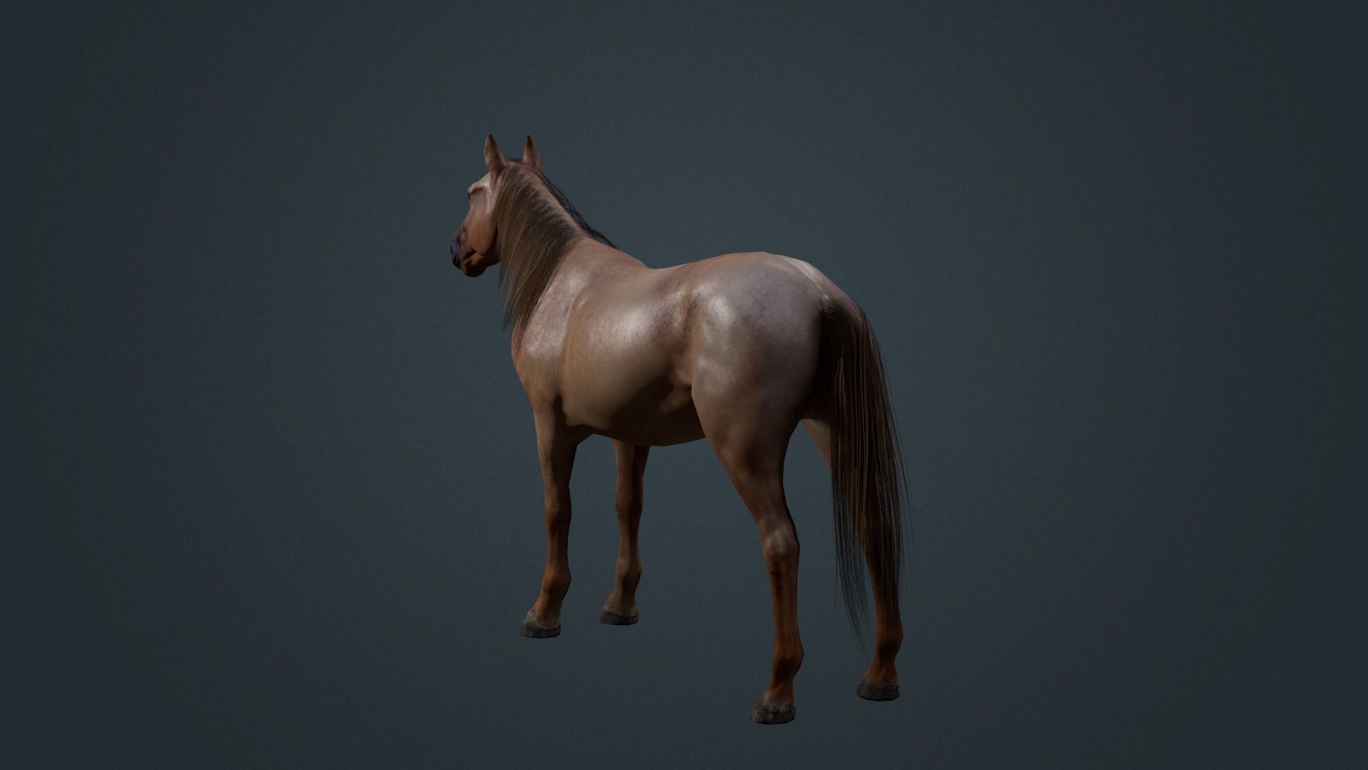 Game Asset PBR Texture 2 version horse Low-poly 3D model_29