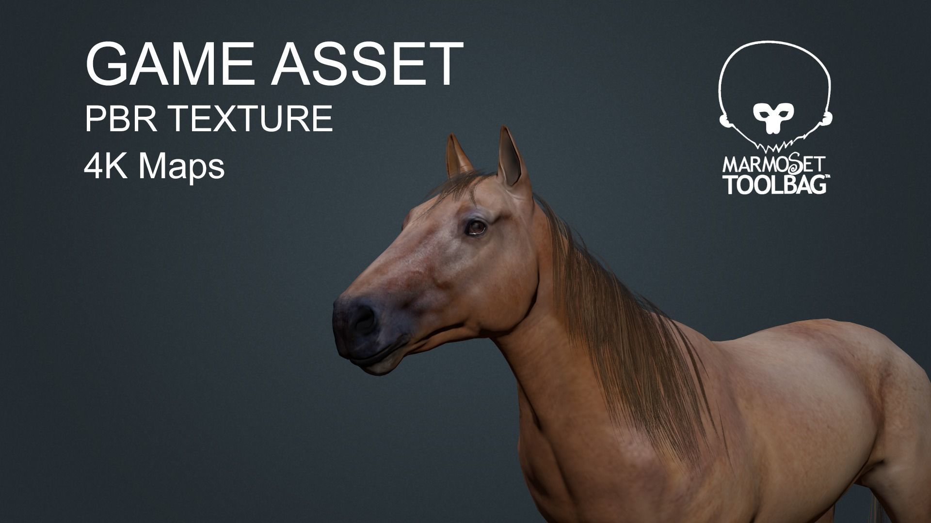 Game Asset PBR Texture 2 version horse Low-poly 3D model_20