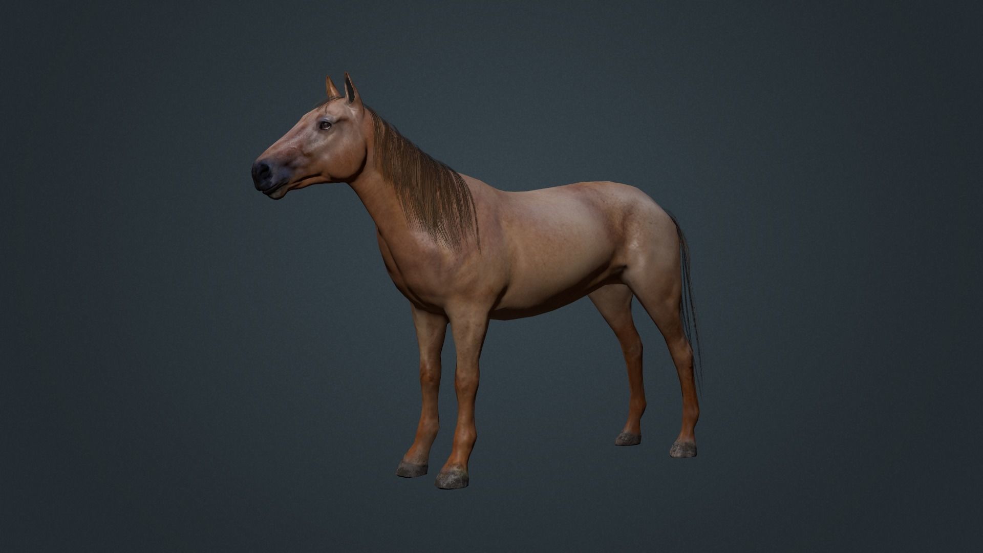 Game Asset PBR Texture 2 version horse Low-poly 3D model_21