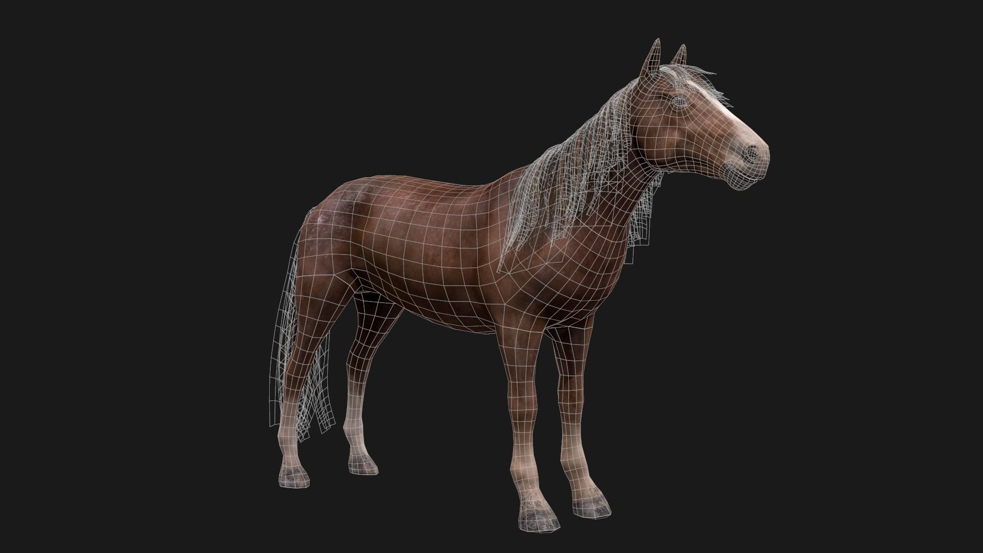 Game Asset PBR Texture 2 version horse Low-poly 3D model_11