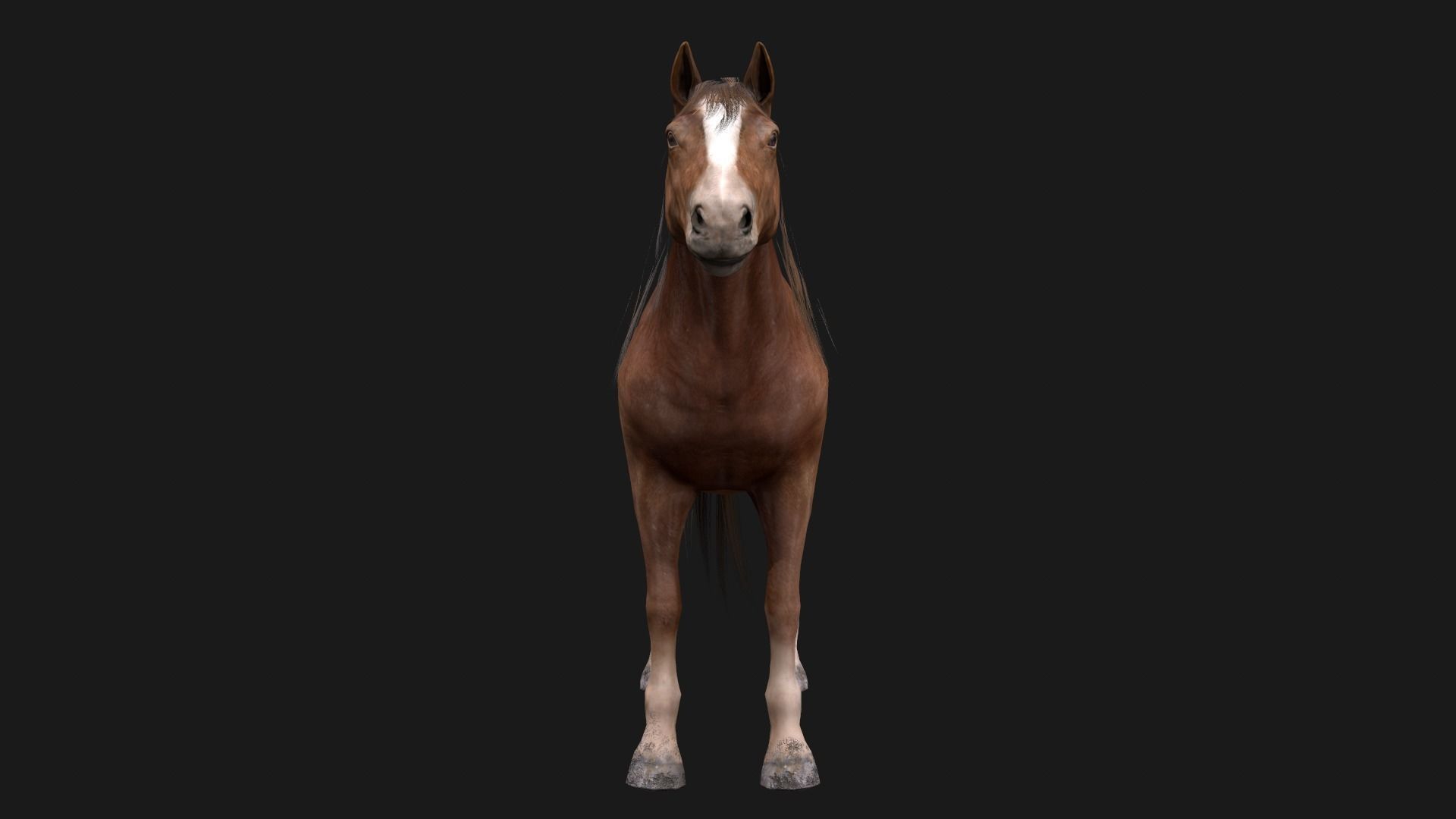 Game Asset PBR Texture 2 version horse Low-poly 3D model_9