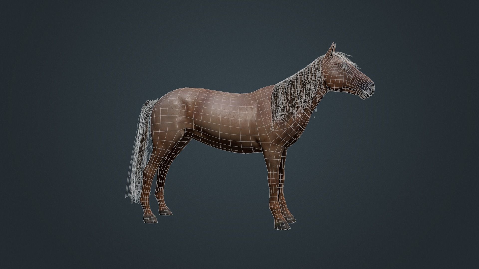 Game Asset PBR Texture 2 version horse Low-poly 3D model_26