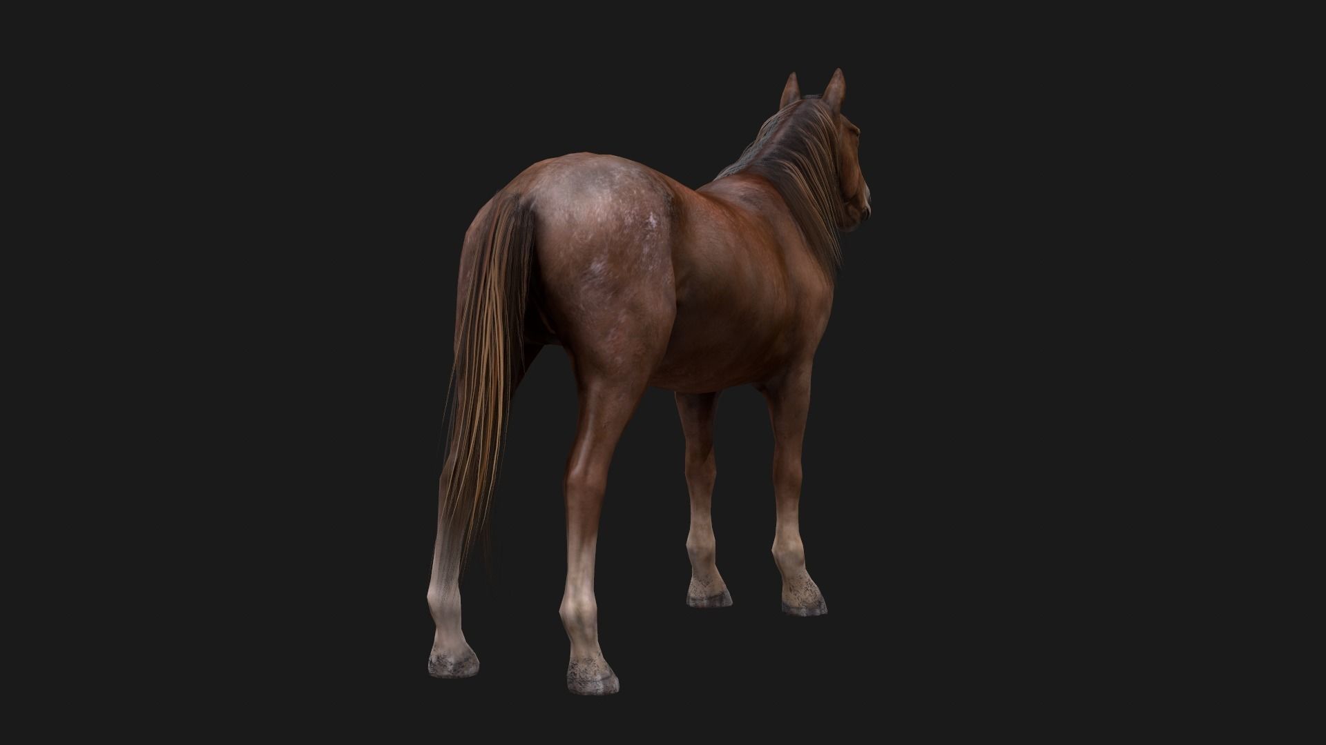 Game Asset PBR Texture 2 version horse Low-poly 3D model_15