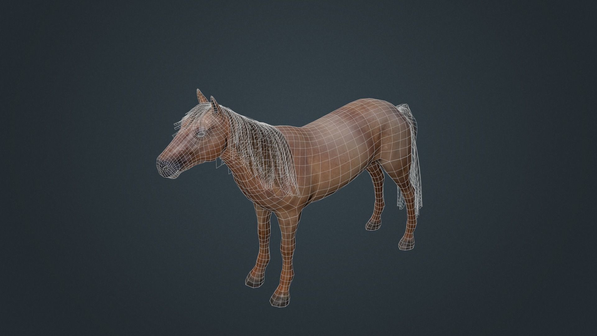 Game Asset PBR Texture 2 version horse Low-poly 3D model_27