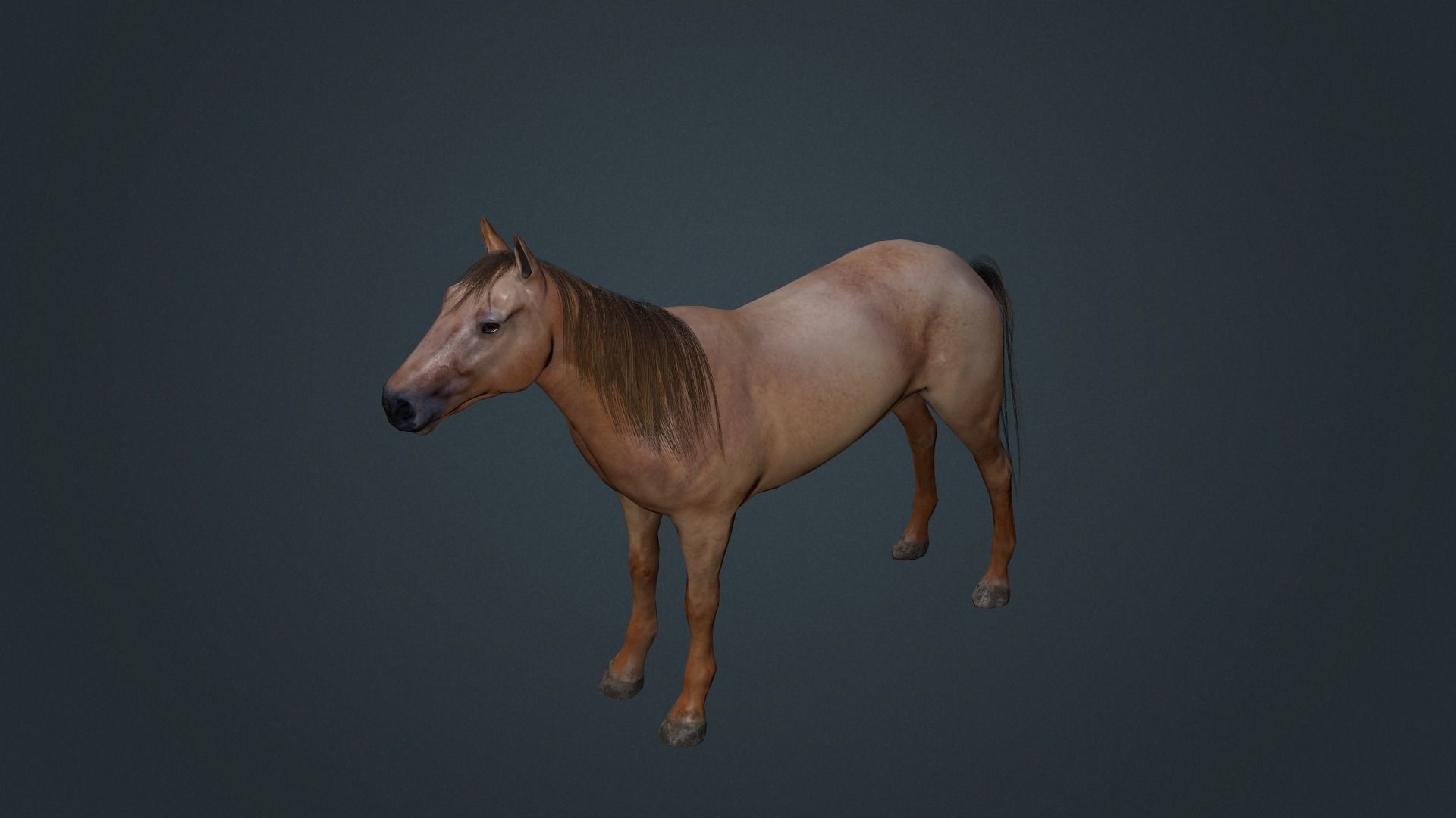 Game Asset PBR Texture 2 version horse Low-poly 3D model_28