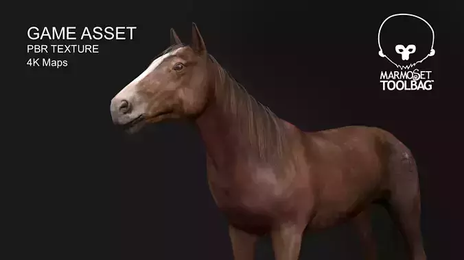Game Asset PBR Texture 2 version horse Low-poly 3D model