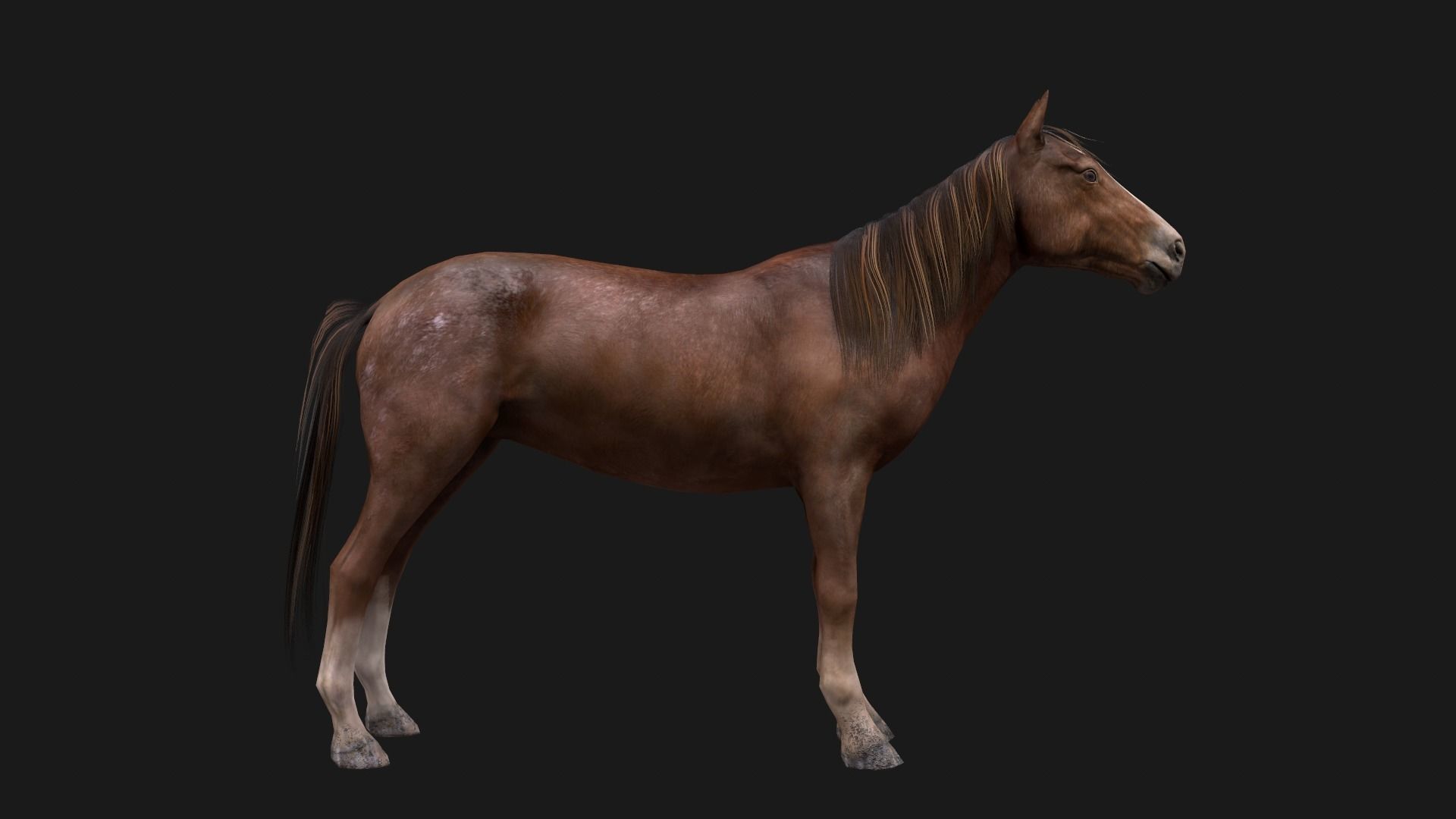 Game Asset PBR Texture 2 version horse Low-poly 3D model_13