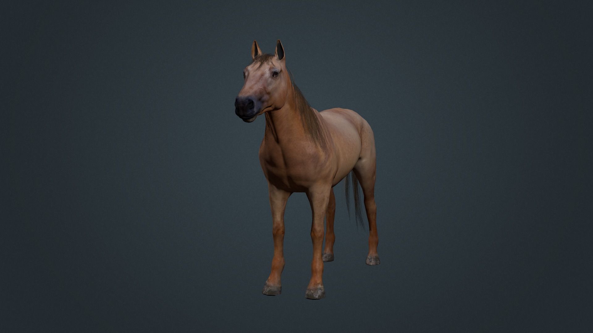 Game Asset PBR Texture 2 version horse Low-poly 3D model_31