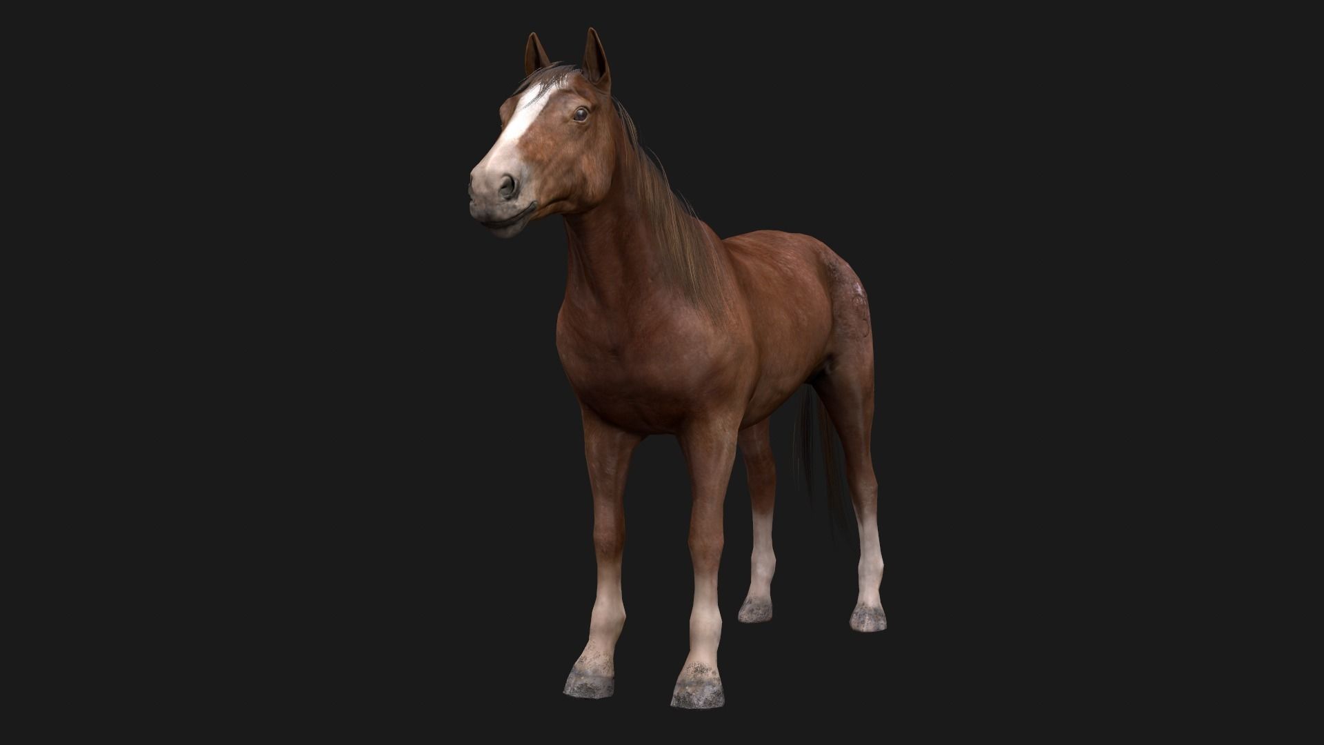 Game Asset PBR Texture 2 version horse Low-poly 3D model_7